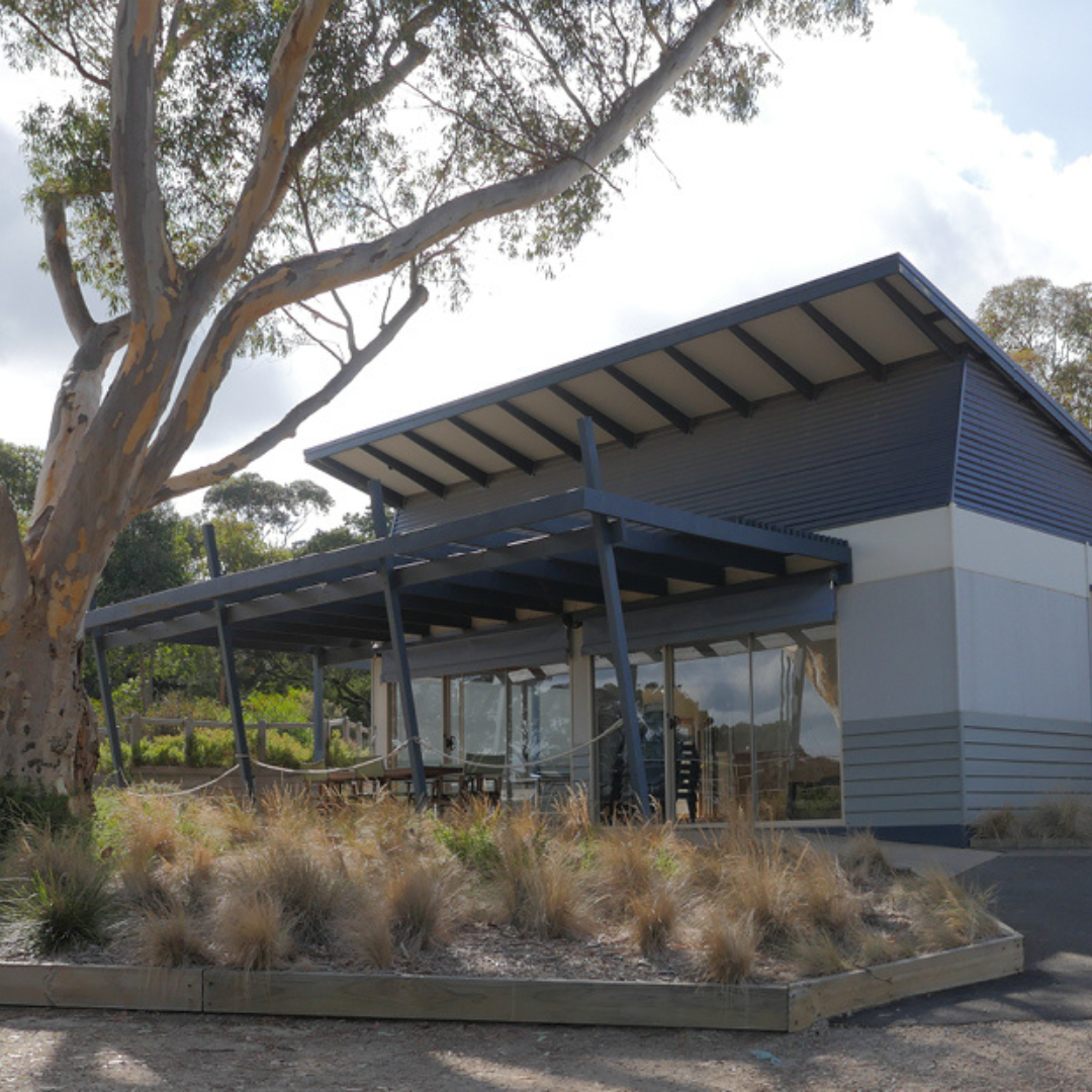Building, with table and chairs under the pergola. Gum tree and grasses in the foreground.