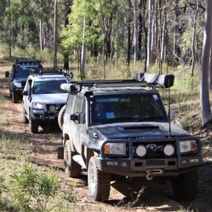 4WD vehicles driving through the bush