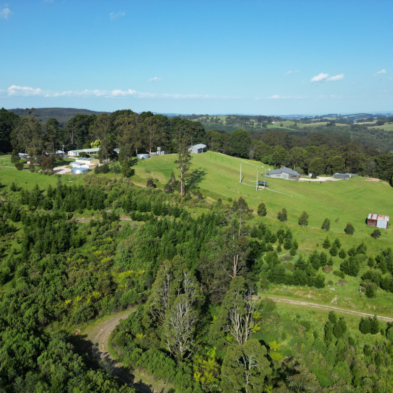 Aerial view of hills and forest around Allambee Camp