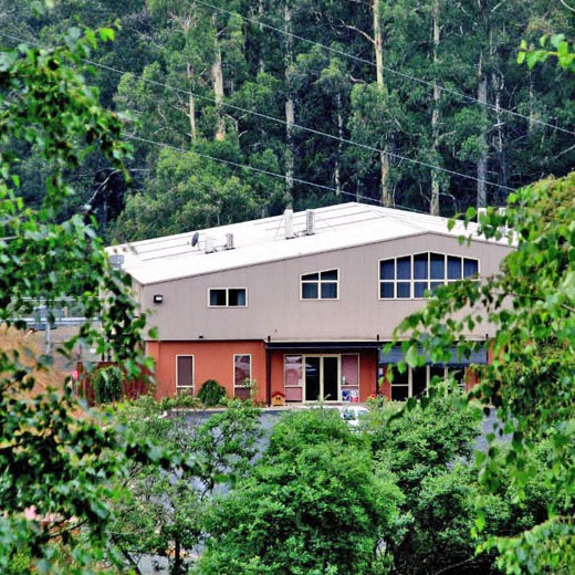 Camp Building within a forest