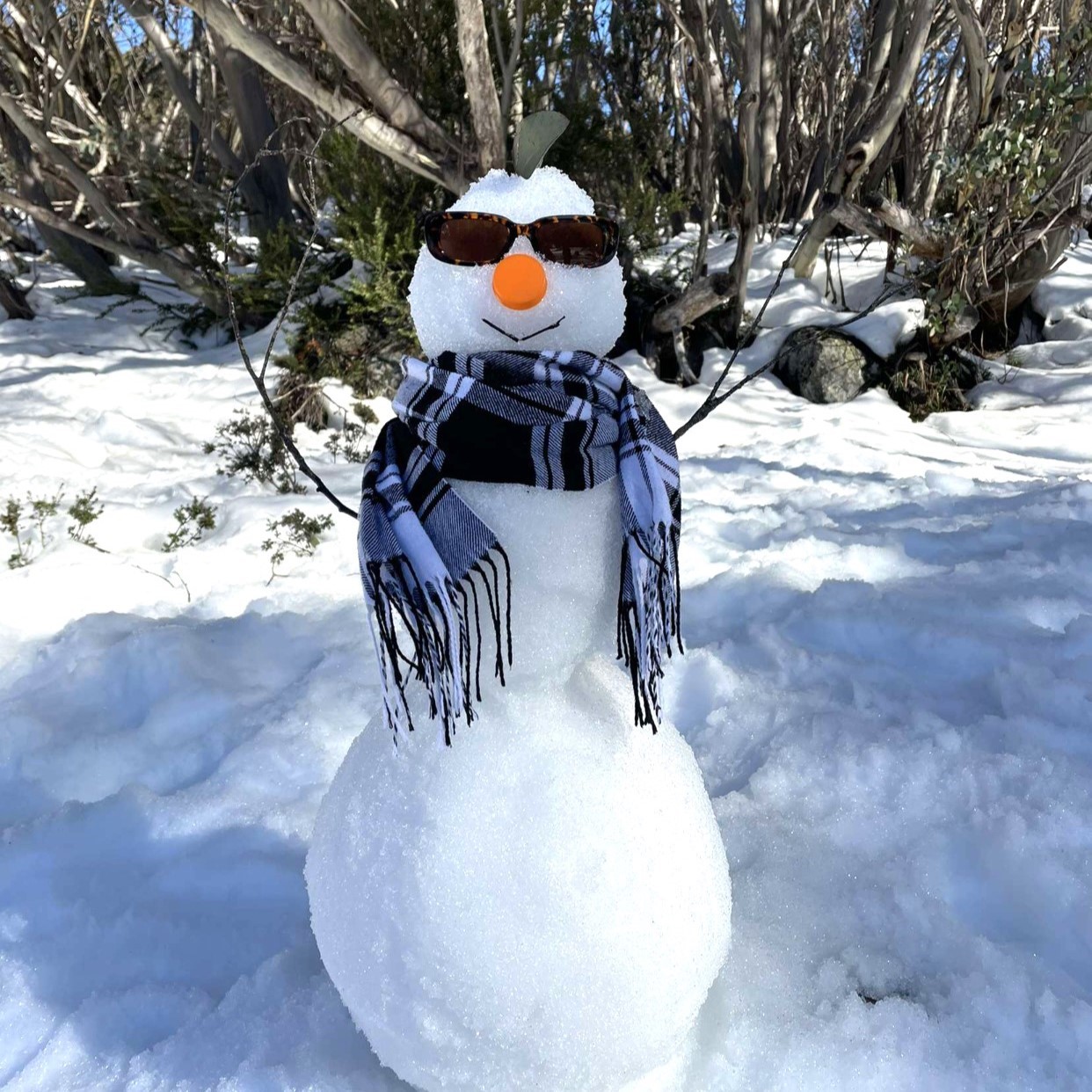 snowman with scarf and glasses